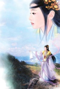 (斗羅大陸同人)斗羅大陸之龍鳳情緣
